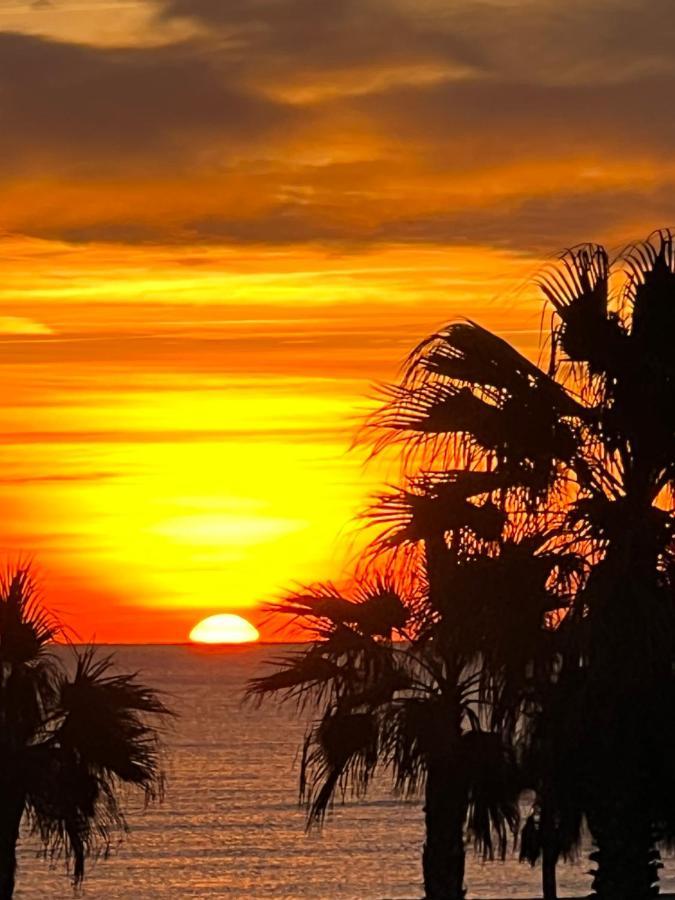 Azur Διαμέρισμα Le Barcarès Εξωτερικό φωτογραφία