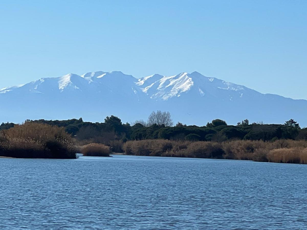 Azur Διαμέρισμα Le Barcarès Εξωτερικό φωτογραφία